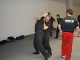 Švajcarska - Luzern - Wing Chun i Eskrima - 2009